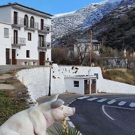 Alojamiento Rural Casa Clara La Pescaora Trevélez Kültér fotó