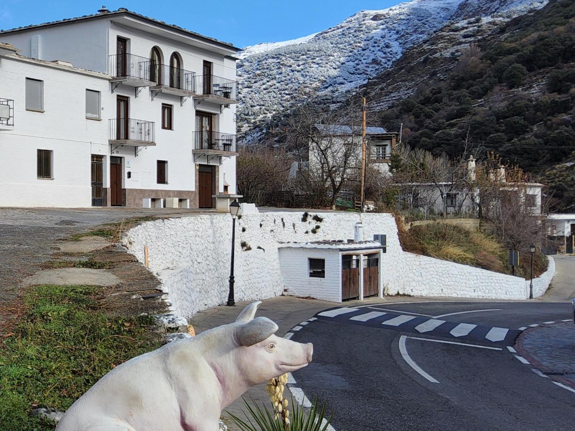 Alojamiento Rural Casa Clara La Pescaora Trevélez Kültér fotó